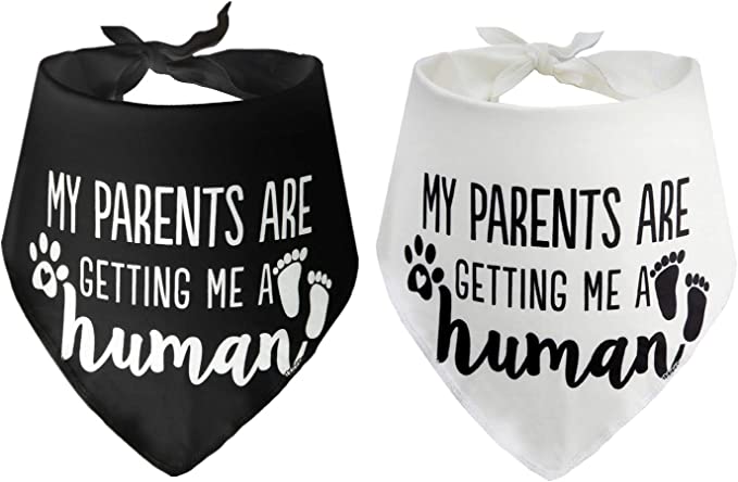 https://withloveziri.com/wp-content/uploads/2022/08/Dog-bandana_pregnancy-announcement.jpg