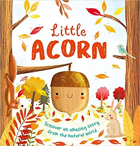 https://withloveziri.com/wp-content/uploads/2022/09/Little-acorn.webp